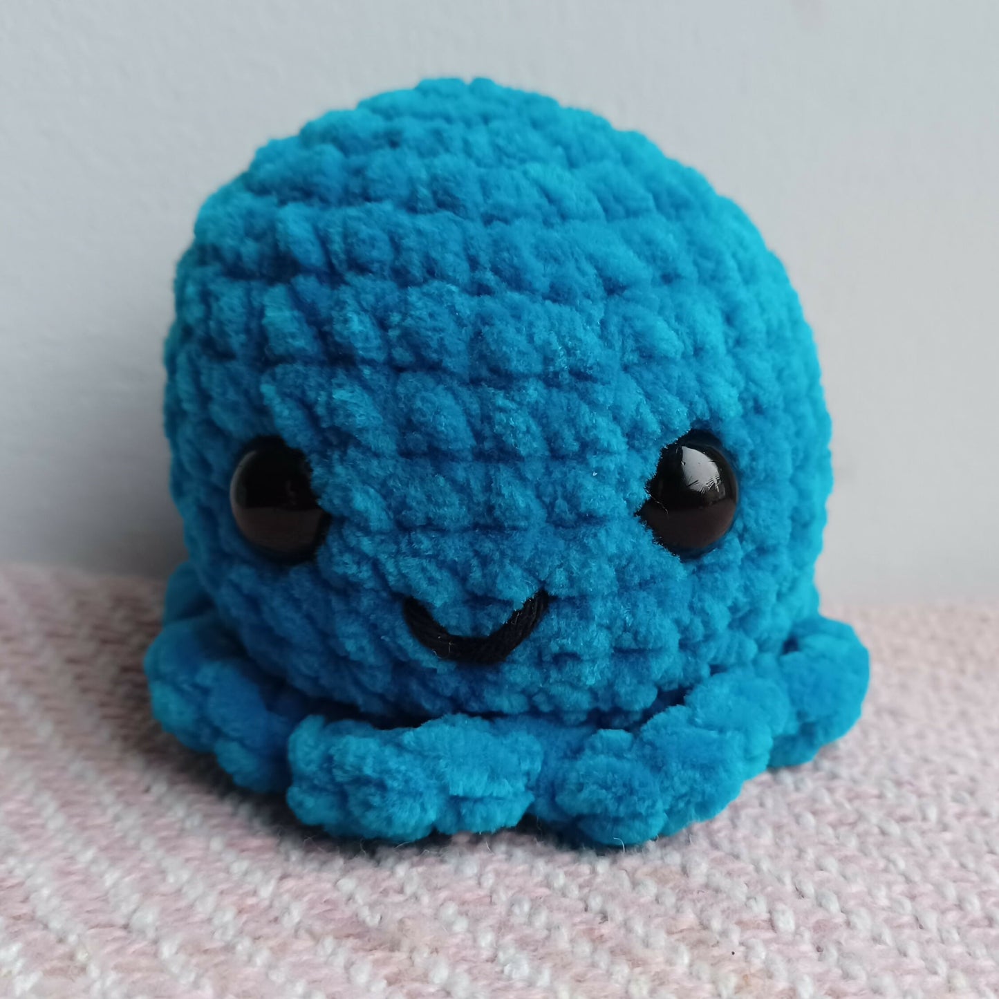 Aqua octopus